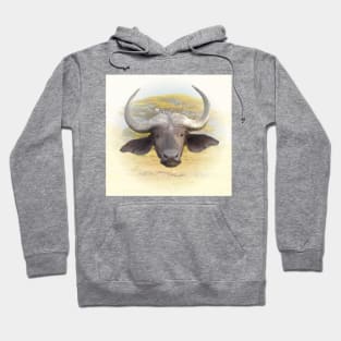 African buffalo Hoodie